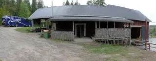 gallery_torparrian_23