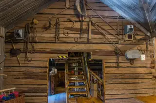 gallery_torparrian_36
