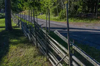 gallery_torparrian_54